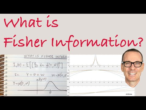 What is Fisher Information?