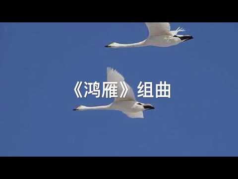 一小时最好听的草原歌曲《鸿雁组曲》集锦（歌曲、马头琴、小提琴、大提琴、协奏曲等）富春江南-5