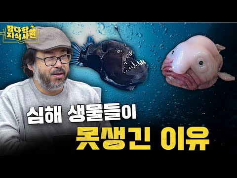 심해생물 감상회 - 굉장한 것들이 살고 있는 심해로..🫧 편집장은 이 날 바지를 적셨습니다