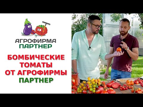 БОМБИЧЕСКИЕ ТОМАТЫ ОТ АГРОФИРМЫ ПАРТНЕР