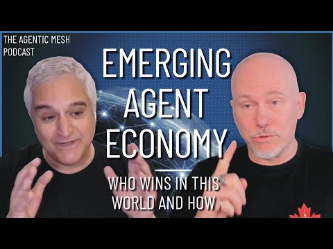 Emerging Agent Economy: Opportunities and Challenges