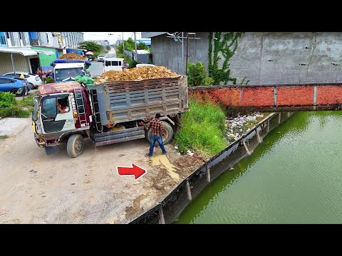 Perfectly Processing Landfill Project use Dump Truck 5Ton & Dozer D3 Pushing Soil delete flood land