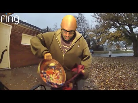 Societal Trust is Dead