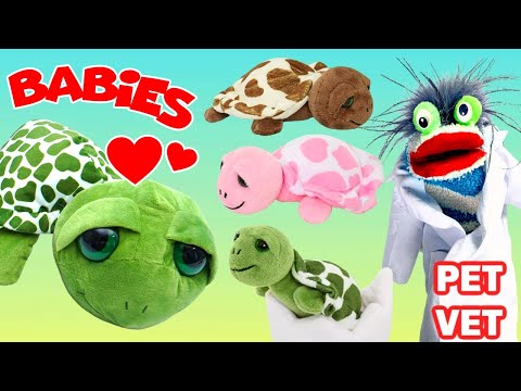 Fizzy the Pet Vet Helps Mama Turtle with Babies Lay Eggs