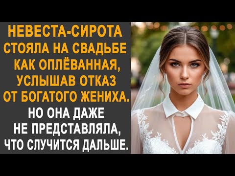 Невеста-сирота застыла, услышав отказ от богатого жениха. Но она не представляла, что будет дальше.