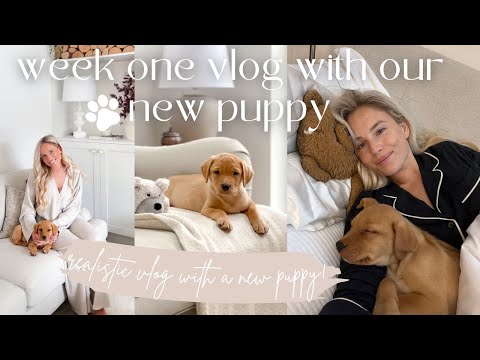 FIRST WEEK OF HAVING A PUPPY VLOG! Meet Simba our 10 week old Red Fox Labrador
