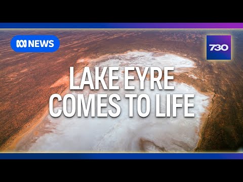 Kati Thanda-Lake Eyre comes to life in rare flood | 7.30