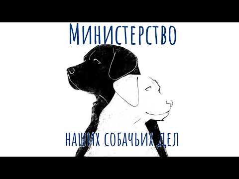 #2.12 Иван Затевахин о собаках и людях