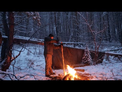 Surviving a Snowstorm: Overnight Adventure in the Wild Forest