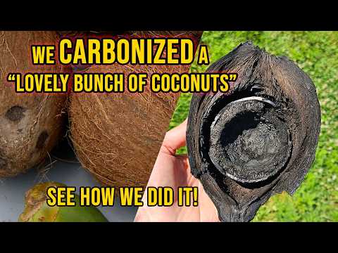 What Happens When You Carbonize Coconuts?