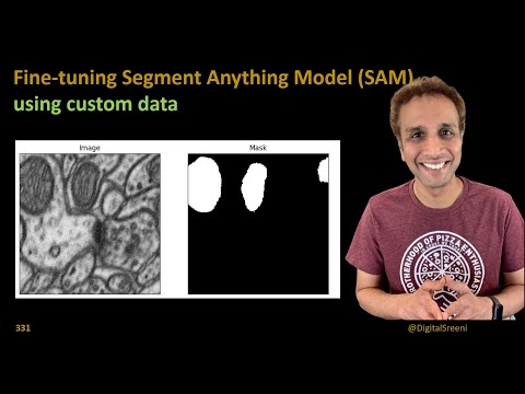 331 - Fine-tune Segment Anything Model (SAM) using custom data