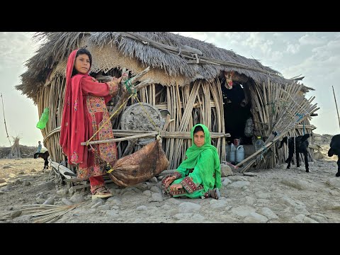 Sistan & Baluchestan Village Life | Butter Churning, Wheat Harvest & Baluchi Bread Traditions