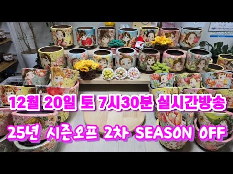 25년도 수제화분 시즌오프 2번째시간 #SEASONOFF #귀염뽀짝 #케릭터화분 #seasonoff #수제화분 #라온다육화분 #달콤한총각다육