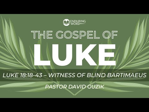 Luke 18:8-43 - Witness of Blind Bartimaeus