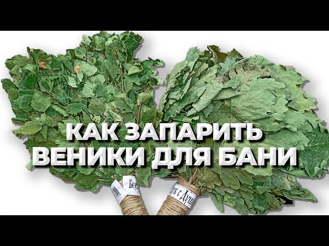 Как запарить веник для бани? Какой способ лучше? Запариваем берёзовые и дубовые веники.