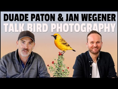 Bird Photography Chat With Jan Wegener The Bird Whisperer and Duade Paton The Bald Dude