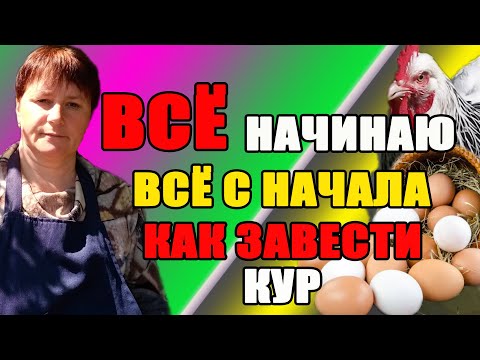 ВСЁ, начинаю всё с начала. Как избежать ОШИБОК при выборе кур, построении курятника...