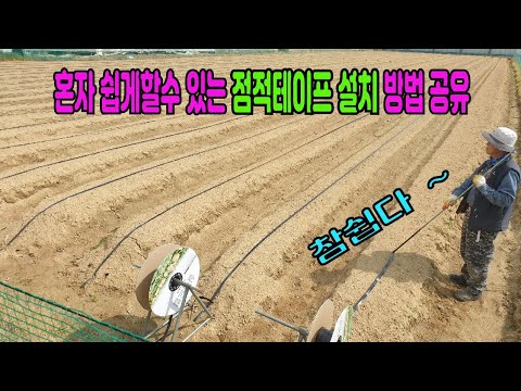 혼자서도 쉽게 점적테이프 설치(깔기) 이보다 나은 방법이 있다면 알려주세요 - 한수 배울께요.