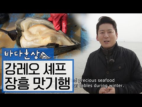 강레오셰프와 떠나는 장흥 맛기행 #무산김 #키조개 #매생이 ENG SUB [바다한상 Cooking Road Trip Documentary]