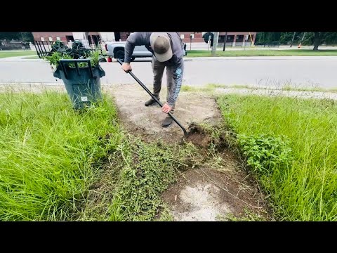 The FIRE DEPARTMENT’s neighbor needed HELP… there was SO much EDGING