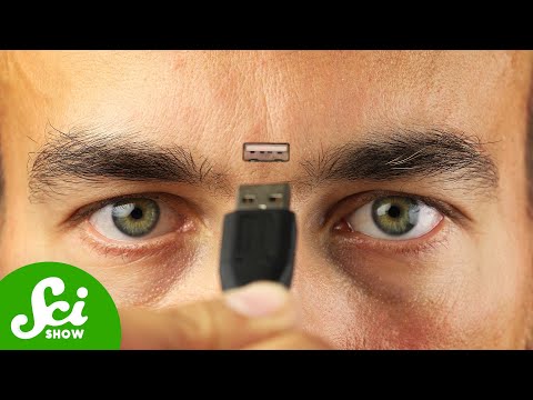 How Much Information Can A Human Head Hold?