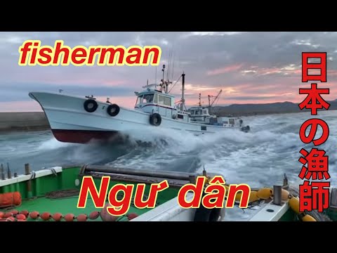 【和歌山県シラス漁師】9月も豊漁❗️2021年は記録的水揚げ更新中❗️出船から漁の様子　全てお見せします