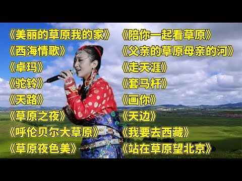 藏舞神曲美丽的草原我的家西海情歌卓玛驼铃天路