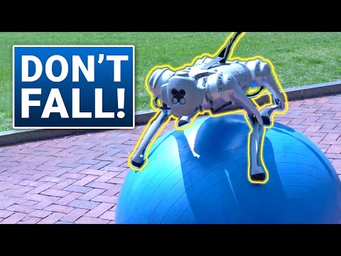 These New Robots Do Previously Impossible Tasks!