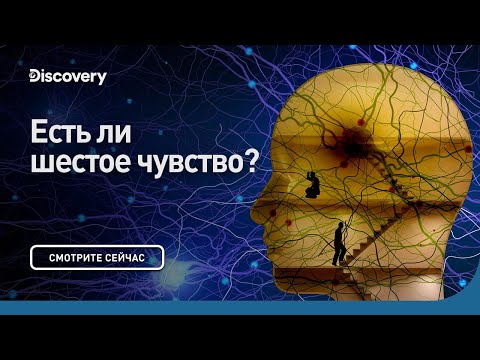 Есть ли шестое чувство? | Сквозь кротовую нору с Морганом Фрименом | Discovery