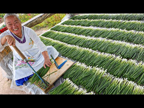 Beautiful Grandma Cooking! Popular seafood pancakes made with amazing skills / Korean Street Food