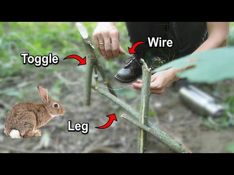 One of the most effective traps that is widely used in Africa