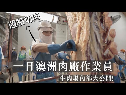 A day in the life of Meat Processing staff🇦🇺🐮🔪