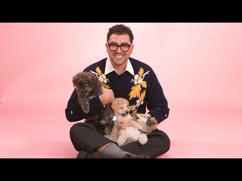 Dan Levy: The Puppy Interview