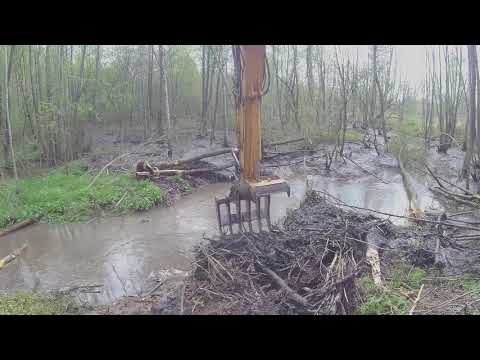 Using Excavator To Remove A Beaver Dam Разрушение плотины