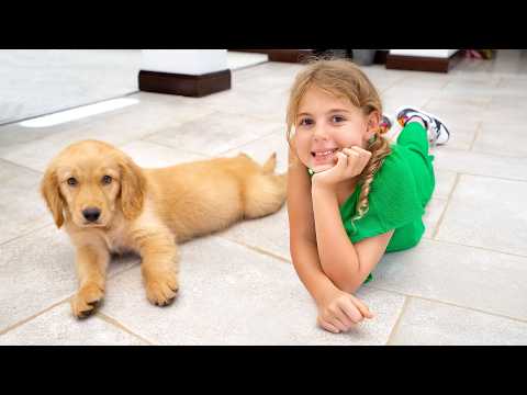Small dog for children πΆ A collection of videos for children | Vania Mania DE β Collections
