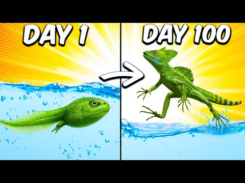 This LIZARD RUNS On Water!!