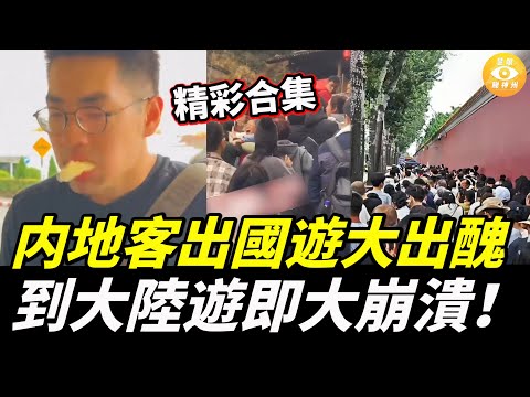【精彩合集】内地一家5口在泰國機場做了一件事讓全網笑翻！在中國旅遊，種種地獄式經歷，旅客崩潰！