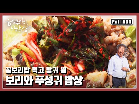 [한국인의밥상★풀버전] 오뉴월 보리밭 익어갈 때 생각나는 추억의 음식! “까칠해서 더 좋다 보리와 푸성귀” (KBS 160616 방송)