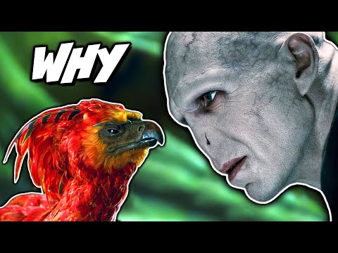 The REAL Reason Fawkes' Feather Chose Harry AND Voldemort (Very Dark) - Harry Potter Theory