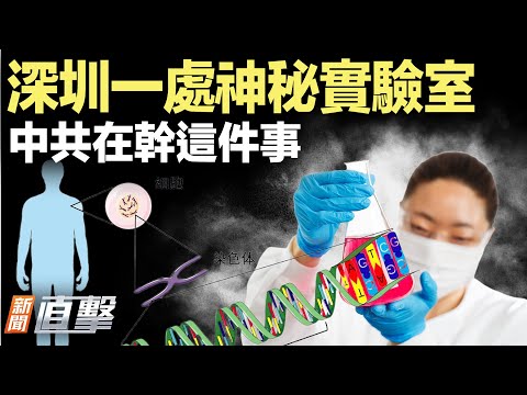 球迷可花60美元看世界盃決賽；30歲健美冠軍王昆猝逝；華納兄弟拒派拉蒙選網飛；哈爾濱凍到血管爆！中共秘密造EUV芯片機器曝光｜#新聞直擊 12/17/2025