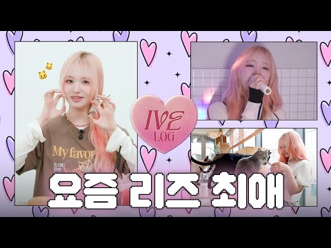 [IVE LOG] 완전 내꼬다냥🐾 리즈냥의 최애 캣닢템 다 공개한다냥