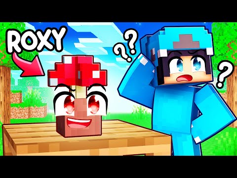 Minecraft HIDE AND SEEK PROP HUNT With Crazy Fan Girl!