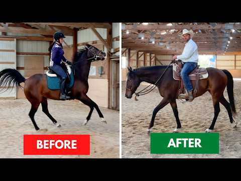 Anxiety Overhaul: How to Create a Calm, Safe Partner in the Saddle