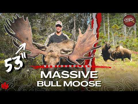 Newfoundland GIANT (Closing The Distance 2 Kilometres AWAY!) | Canada in the Rough