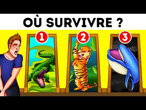 Plus de 80 énigmes pour une journée sans accroc