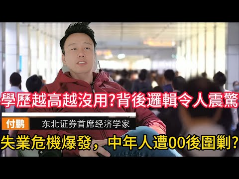 付鹏重磅警告：这一代人正在被时代吞噬, 学历失效、岗位枯竭，焦虑已成集体命运 #付鹏 #结构性焦虑 #一代人危机 #学历贬值 #学历失效 #就业塌陷 #社会内卷 #中年焦虑 #年轻人迷茫 #房地产危机
