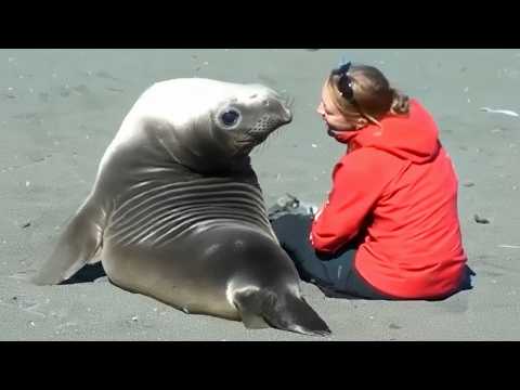 75 Times Wild Animals Showed Pure Love for Humans