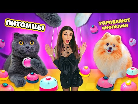 CAT BUTTERS and DOG ALICE CONTROL MY DAY WITH BUTTONS * 100 BUTTONS CHALLENGE