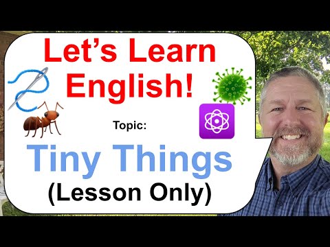 Let's Learn English! Topic: Tiny Things! 🐜🦠⚛️ (Lesson Only)