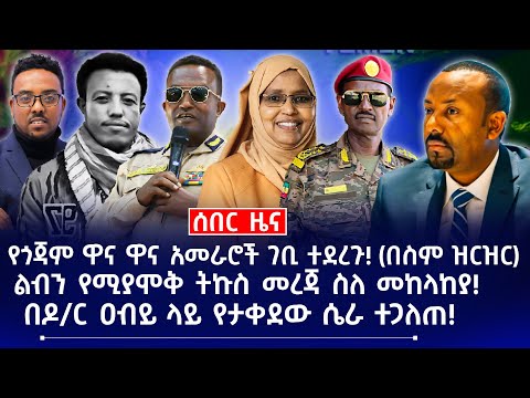የጎጃም ዋና ዋና አመራሮች ገቢ ተደረጉ! (በስም ዝርዝር) || ልብን የሚያሞቅ ትኩስ መረጃ ስለ መከላከያ! || በዶ/ር ዐብይ ላይ የታቀደው ሴራ ተጋለጠ!